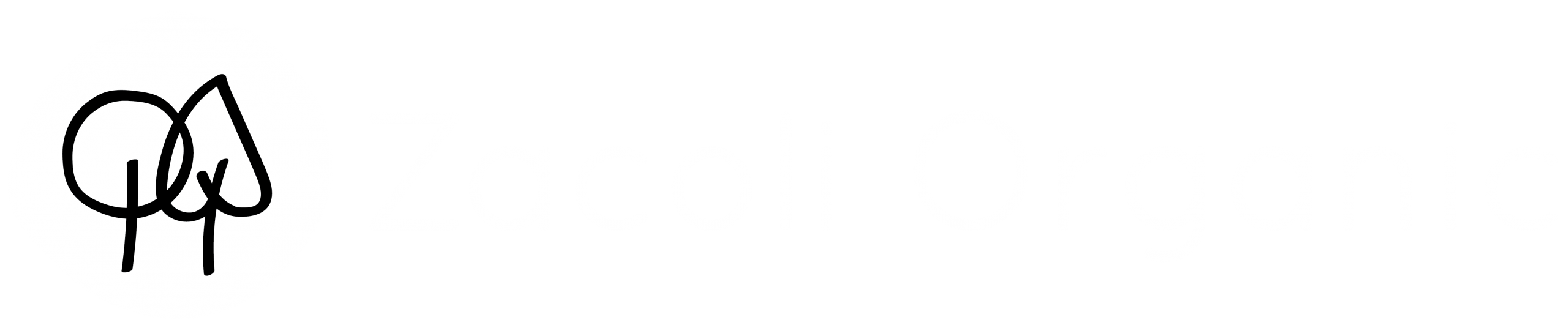 light logo
